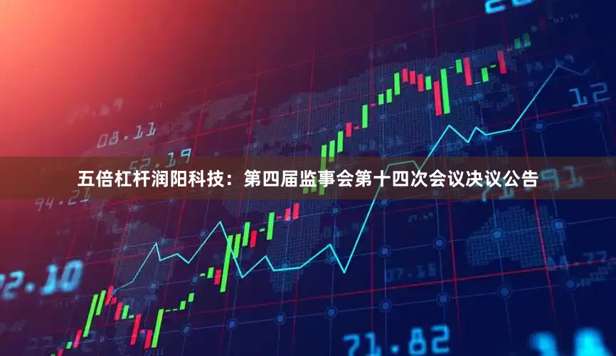 五倍杠杆润阳科技：第四届监事会第十四次会议决议公告